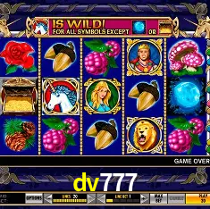 dv777 Brasília - VIP Program